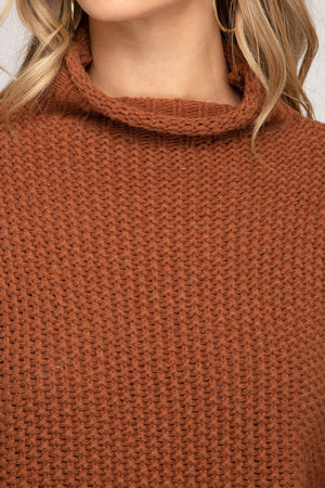 Cinnamon Turtleneck Sweater