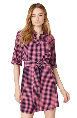 Checks Every Box Gingham Dress by BB Dakota