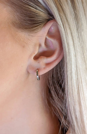 Beth Earrings in Silver