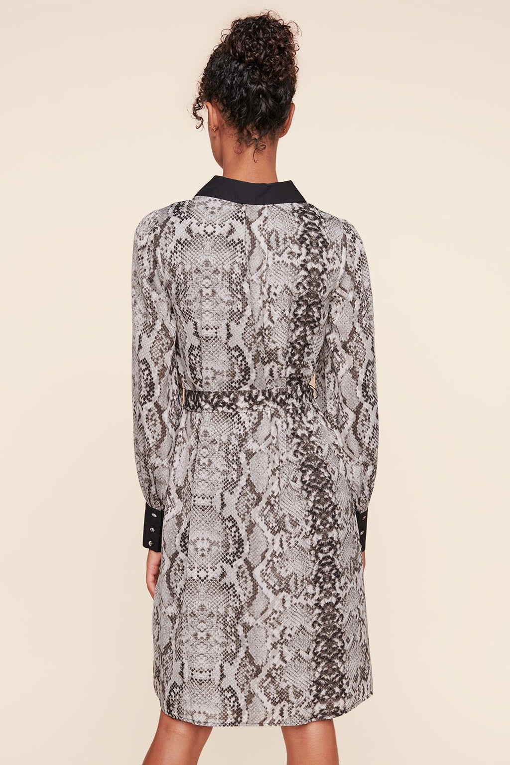 Celeste Snake Skin Button Front Shirt Dress